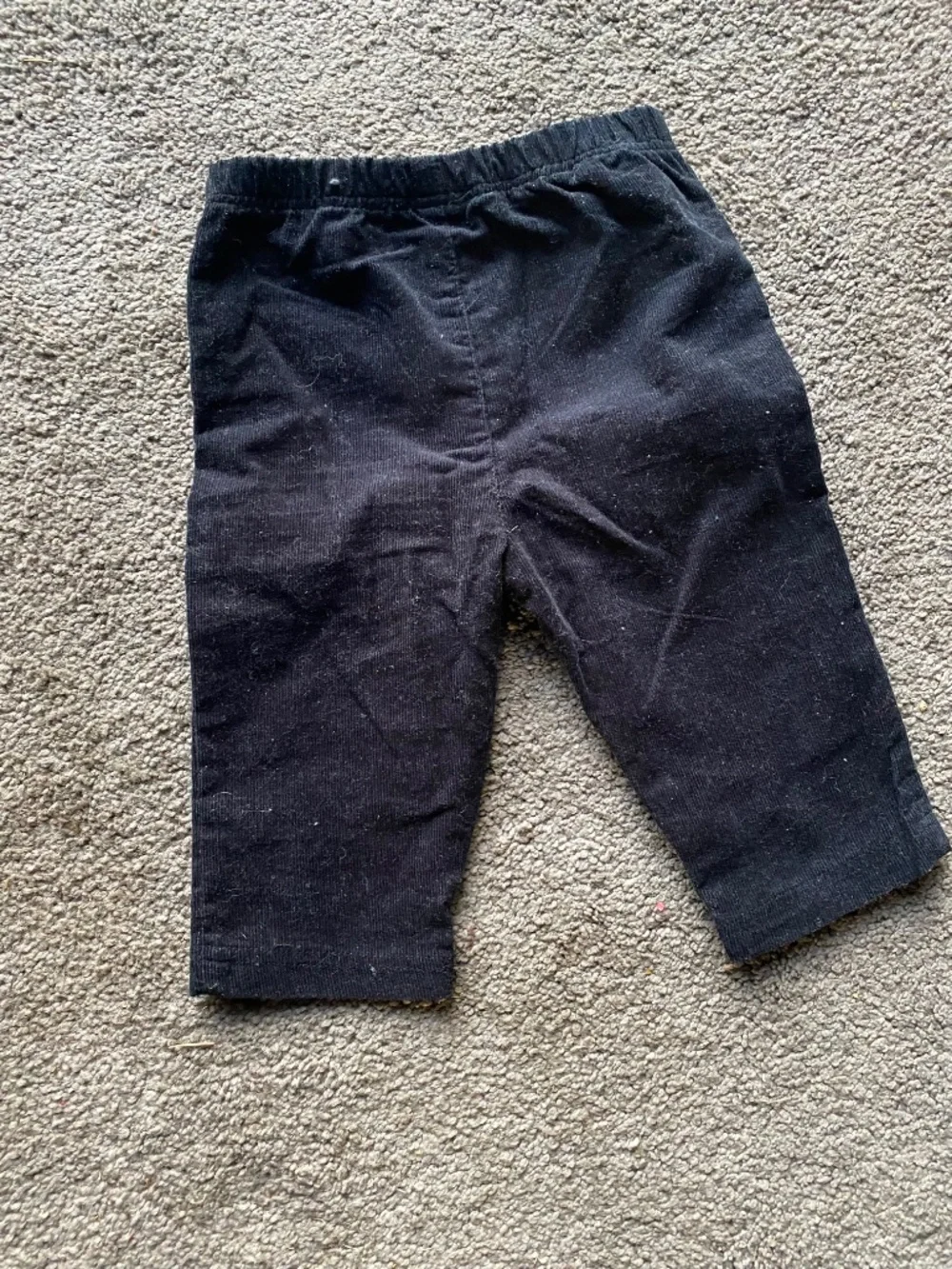 Christmas Dog Pants -6M